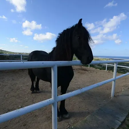 Saghtrija Luxury Zebbug (Gozo)