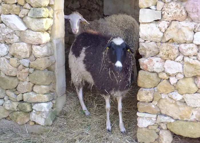 Saghtrija Luxury Διαμέρισμα Zebbug (Gozo)