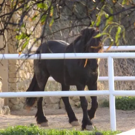 Apartment Saghtrija Luxury