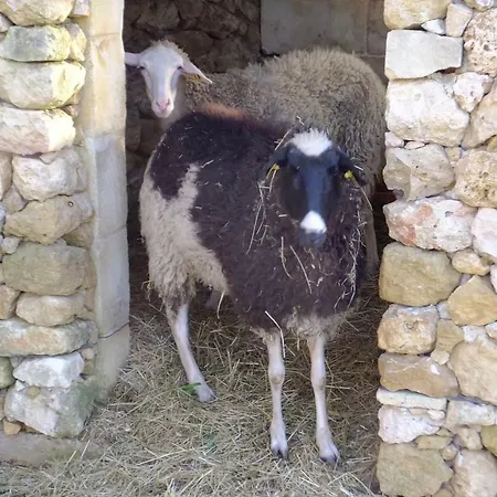 Saghtrija Luxury Appartamento Zebbug (Gozo)