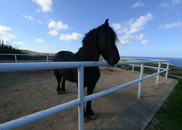 Saghtrija Luxury Zebbug (Gozo)